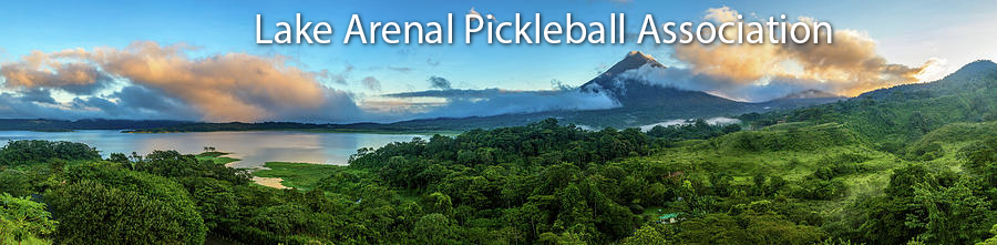 Lake Arenal Pickleball Association Logo